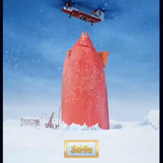 Moment of fish appearance from ice hole